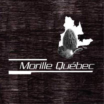 Morille Québec
